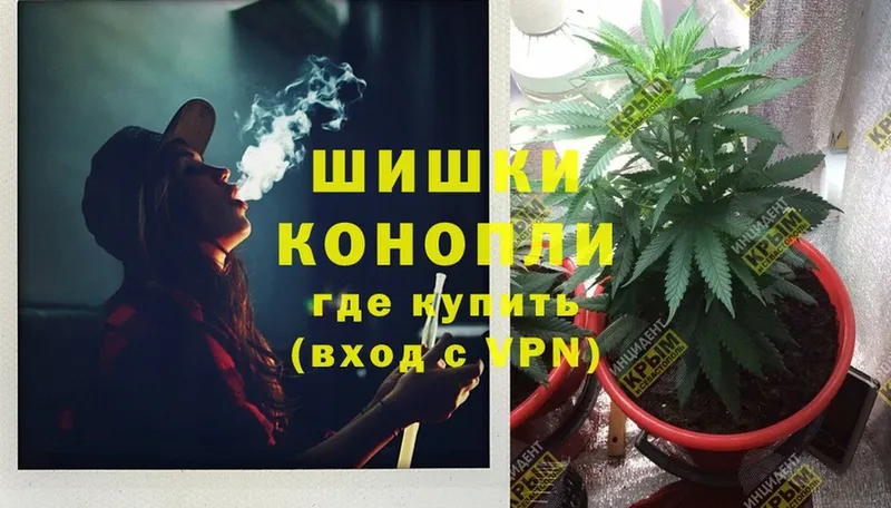 Канабис White Widow  Ессентуки 